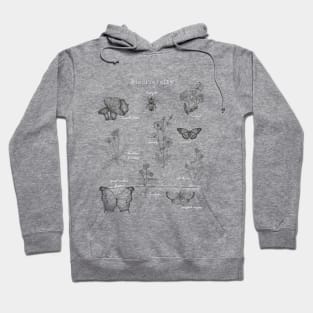 Biodiversity Hoodie